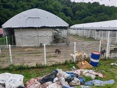 사진2.JPG