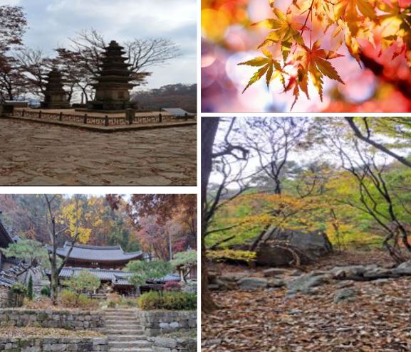 계룡산.JPG